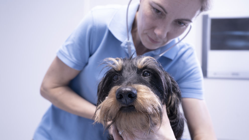 Allgemein-Hofmann_20190205-_DSC9603